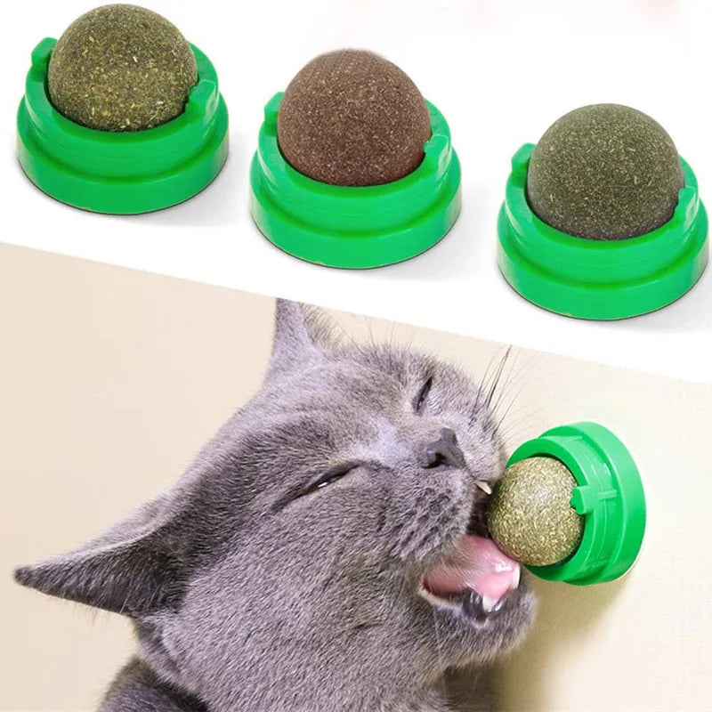 Natural Catnip Wall Scratcher Ball